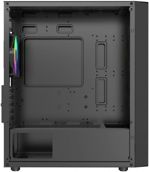 Ocypus Gamma C50 (4)