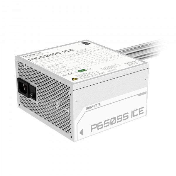P650SS ICE_04