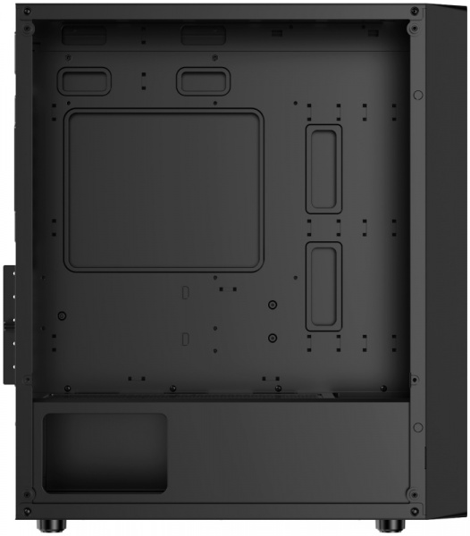 Ocypus Gamma C50 (3)