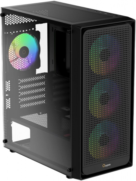 Ocypus Gamma C50 (6)