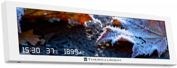 TRLCD9TVW (4)
