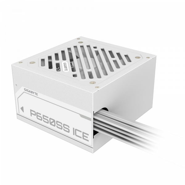 P650SS ICE_03