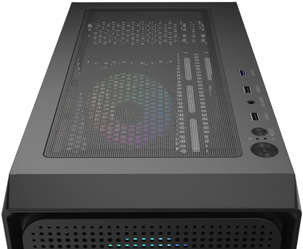 Ocypus Gamma C50 (2)