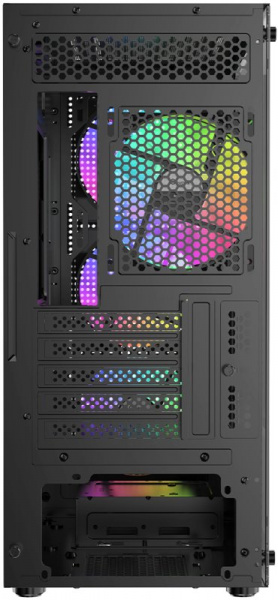 Ocypus Gamma C50 (3)